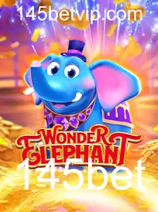 Descubra o Universo de WonderElephant: Um Guia Completo